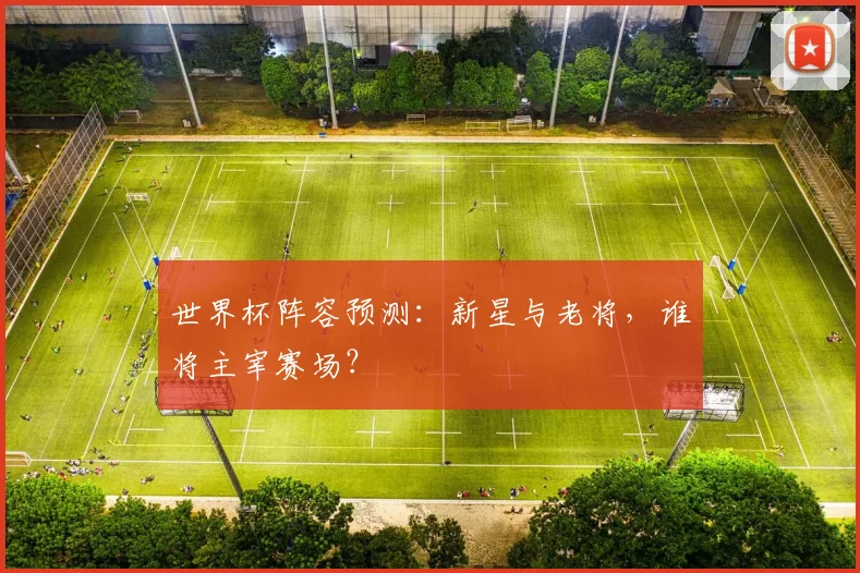 世界杯阵容预测:新星与老将,谁将主宰赛场?
