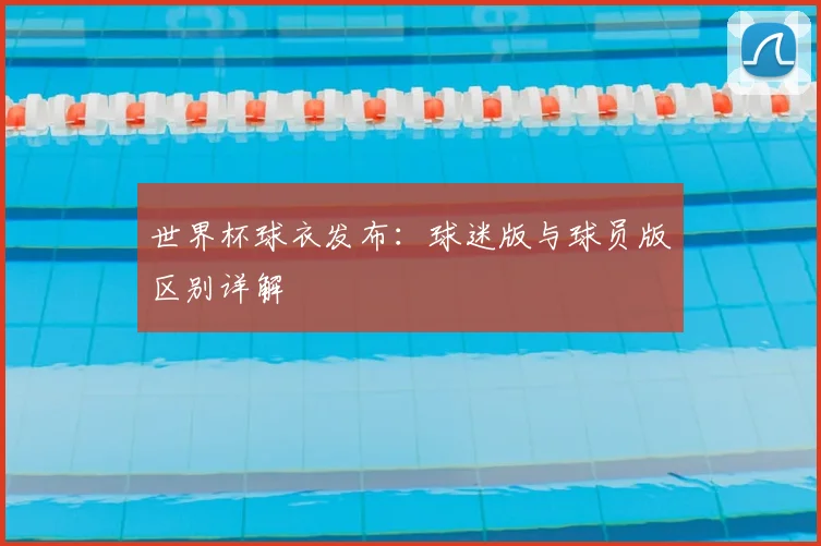 世界杯球衣发布:球迷版与球员版区别详解